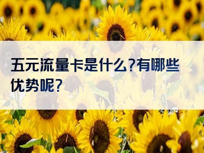 五元流量卡是什么？有哪些优势呢？