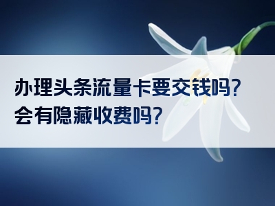 办理头条流量卡要交钱吗？会有隐藏收费吗？