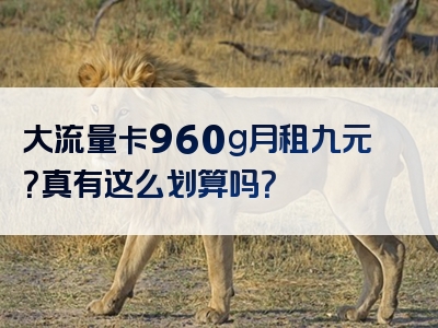 大流量卡960g月租九元？真有这么划算吗？