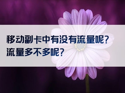 移动副卡中有没有流量呢？流量多不多呢？