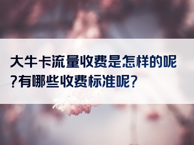 大牛卡流量收费是怎样的呢？有哪些收费标准呢？