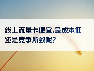 线上流量卡便宜，是成本低还是竞争所致呢？