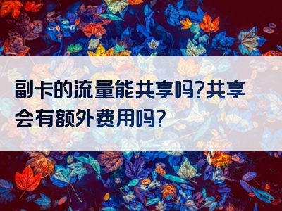 副卡的流量能共享吗？共享会有额外费用吗？