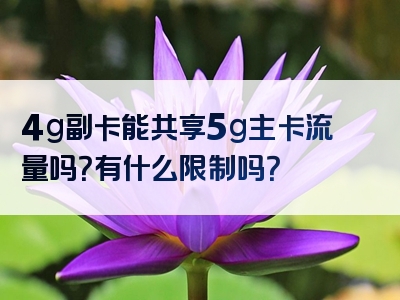 4g副卡能共享5g主卡流量吗？有什么限制吗？