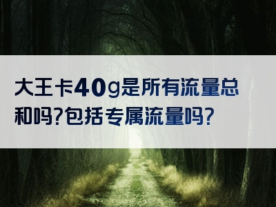 大王卡40g是所有流量总和吗？包括专属流量吗？
