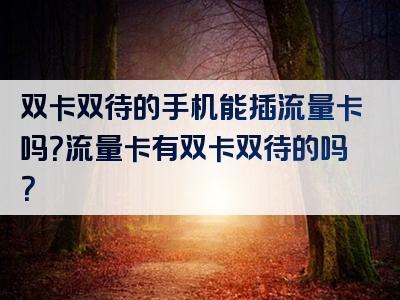 双卡双待的手机能插流量卡吗？流量卡有双卡双待的吗？