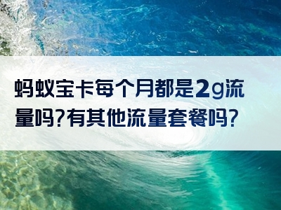 蚂蚁宝卡每个月都是2g流量吗？有其他流量套餐吗？