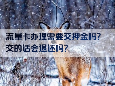 流量卡办理需要交押金吗？交的话会退还吗？