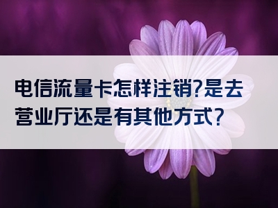 电信流量卡怎样注销？是去营业厅还是有其他方式？
