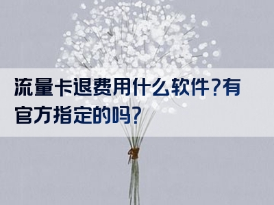 流量卡退费用什么软件？有官方指定的吗？