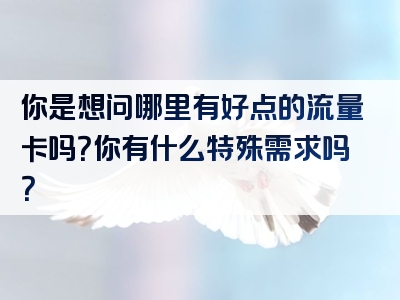 你是想问哪里有好点的流量卡吗？你有什么特殊需求吗？