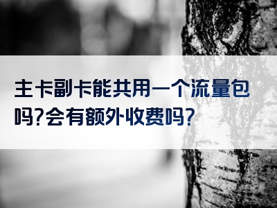 主卡副卡能共用一个流量包吗？会有额外收费吗？