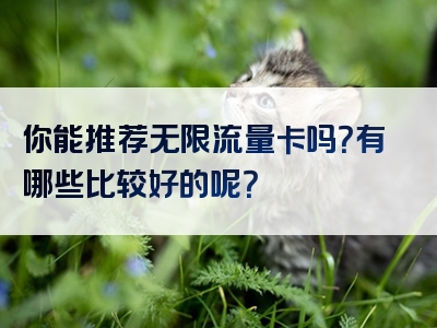 你能推荐无限流量卡吗？有哪些比较好的呢？