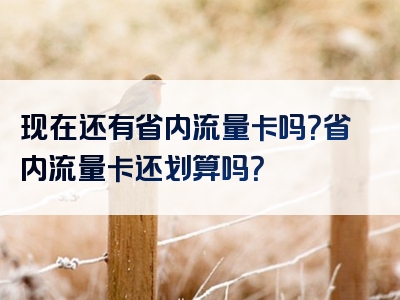 现在还有省内流量卡吗？省内流量卡还划算吗？