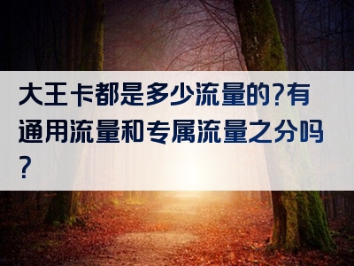大王卡都是多少流量的？有通用流量和专属流量之分吗？