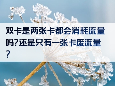 双卡是两张卡都会消耗流量吗？还是只有一张卡废流量？