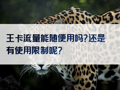 王卡流量能随便用吗？还是有使用限制呢？
