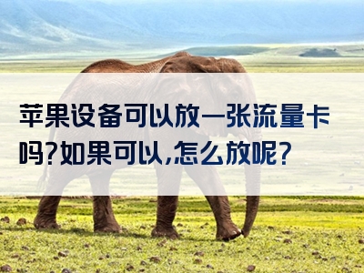 苹果设备可以放一张流量卡吗？如果可以，怎么放呢？