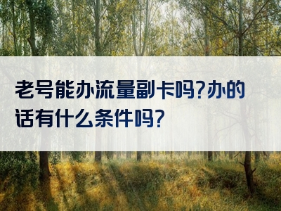 老号能办流量副卡吗？办的话有什么条件吗？