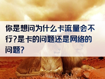 你是想问为什么卡流量会不行？是卡的问题还是网络的问题？