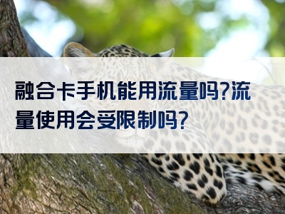 融合卡手机能用流量吗？流量使用会受限制吗？