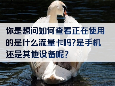 你是想问如何查看正在使用的是什么流量卡吗？是手机还是其他设备呢？