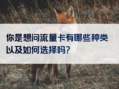 你是想问流量卡有哪些种类以及如何选择吗？