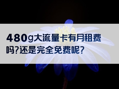 480g大流量卡有月租费吗？还是完全免费呢？