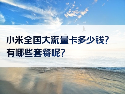 小米全国大流量卡多少钱？有哪些套餐呢？