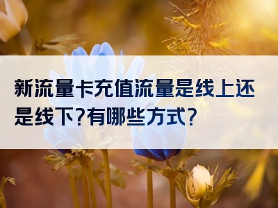 新流量卡充值流量是线上还是线下？有哪些方式？