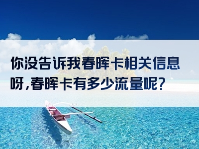 你没告诉我春晖卡相关信息呀，春晖卡有多少流量呢？