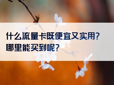 什么流量卡既便宜又实用？哪里能买到呢？