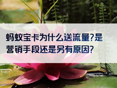 蚂蚁宝卡为什么送流量？是营销手段还是另有原因？
