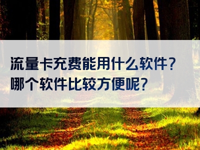 流量卡充费能用什么软件？哪个软件比较方便呢？