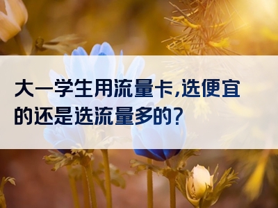 大一学生用流量卡，选便宜的还是选流量多的？