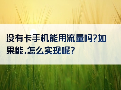 没有卡手机能用流量吗？如果能，怎么实现呢？