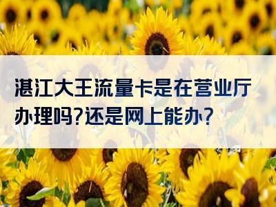 湛江大王流量卡是在营业厅办理吗？还是网上能办？