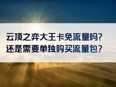 云顶之弈大王卡免流量吗？还是需要单独购买流量包？