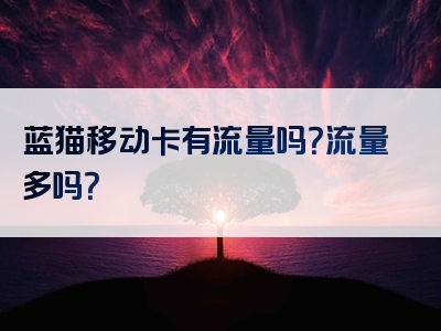 蓝猫移动卡有流量吗？流量多吗？