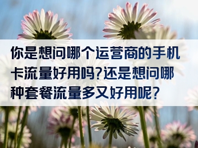 你是想问哪个运营商的手机卡流量好用吗？还是想问哪种套餐流量多又好用呢？