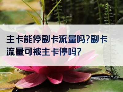 主卡能停副卡流量吗？副卡流量可被主卡停吗？