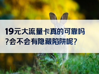 19元大流量卡真的可靠吗？会不会有隐藏陷阱呢？