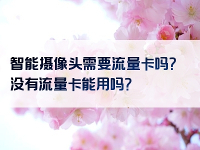 智能摄像头需要流量卡吗？没有流量卡能用吗？