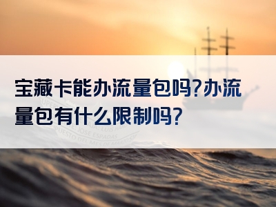 宝藏卡能办流量包吗？办流量包有什么限制吗？