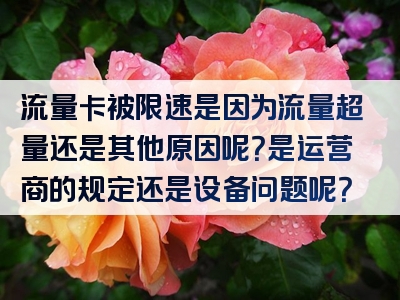 流量卡被限速是因为流量超量还是其他原因呢？是运营商的规定还是设备问题呢？