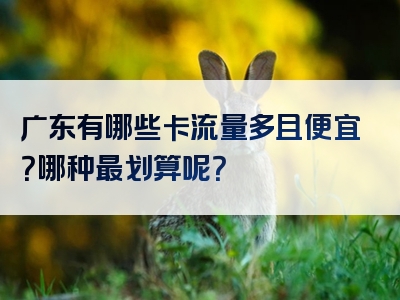 广东有哪些卡流量多且便宜？哪种最划算呢？