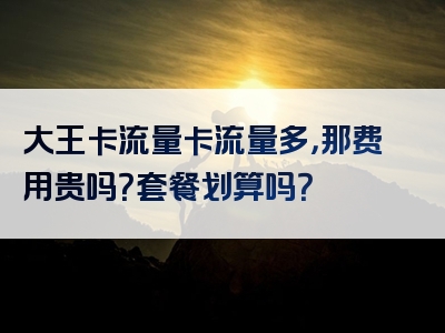 大王卡流量卡流量多，那费用贵吗？套餐划算吗？