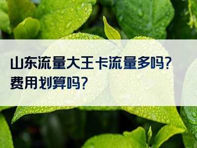 山东流量大王卡流量多吗？费用划算吗？