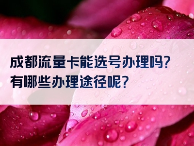 成都流量卡能选号办理吗？有哪些办理途径呢？