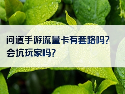 问道手游流量卡有套路吗？会坑玩家吗？